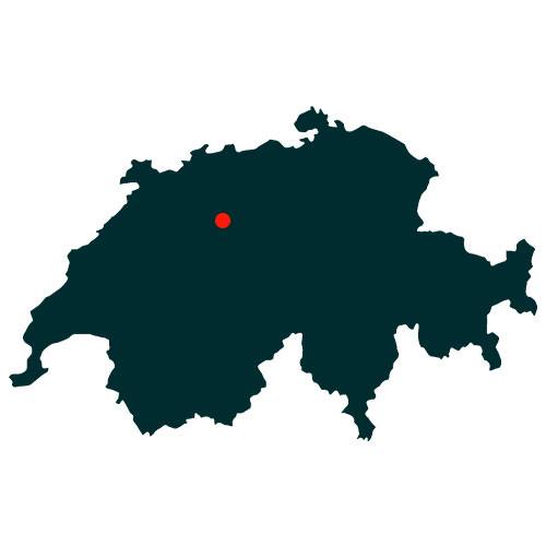 Standort Luzern (F. Willich Schweiz AG)