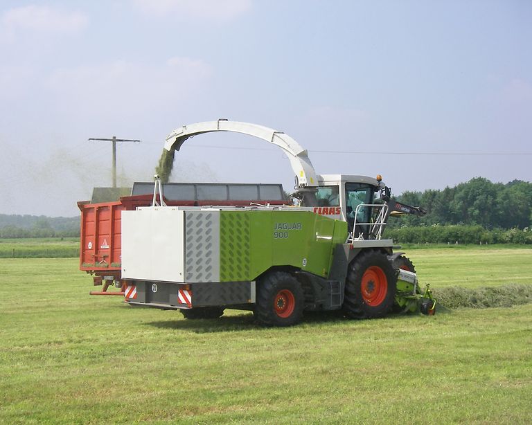 Standort Bad Saulgau