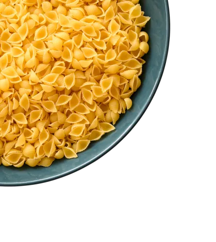 Shell pasta