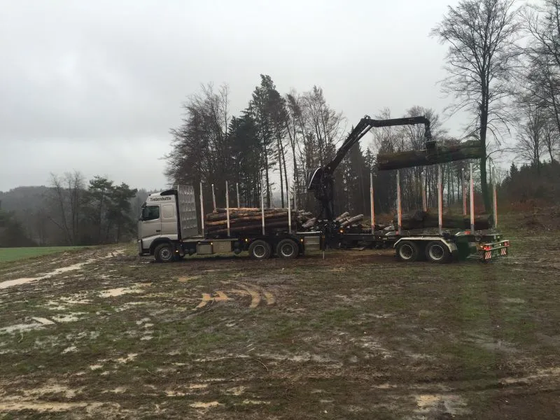 Holztransport