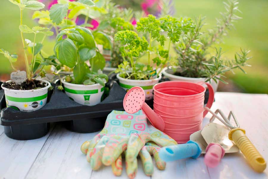 Garten- und Pflanzensortiment
