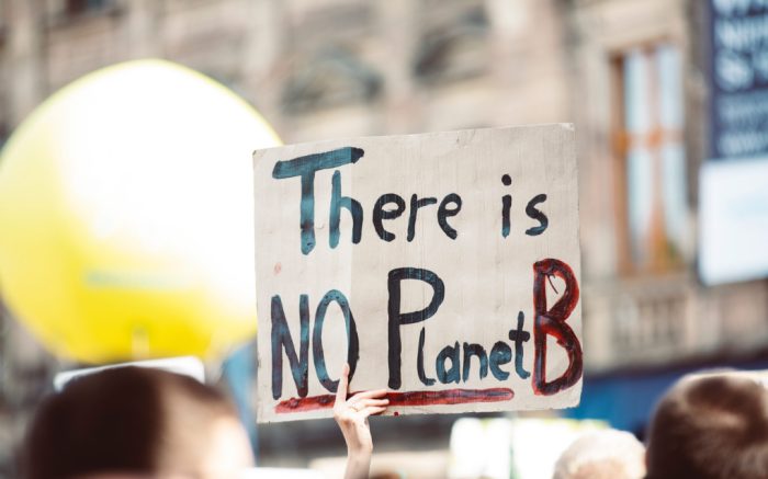 Artikelfoto: Schild mit Aufschrift "There is no Planet B"