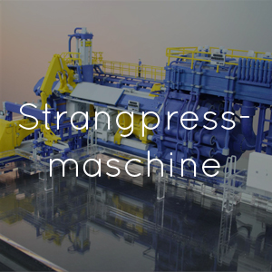 Strangpressmaschine (Modell, Maßstab 1:50)