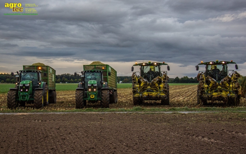 Ganzpflanzensilage-Ernte (Mais häckseln)