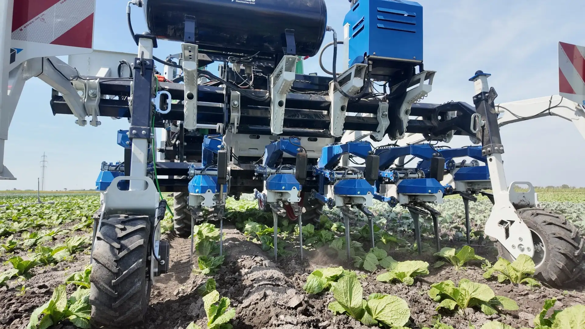 Mechanisch gehacktes Feld aus der Luft – Unkrautregulierung ohne Herbizide
