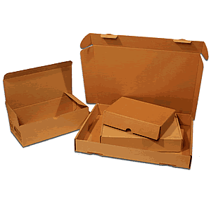 Stanzverpackung (Maxibrief)