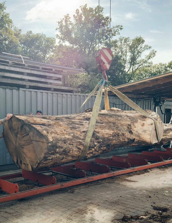 Holzbohle aus dem Gatter