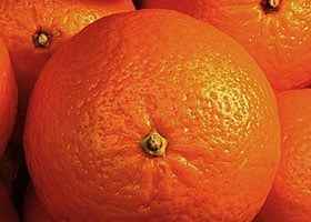 wave-scan Orange-Peel-Messgerät