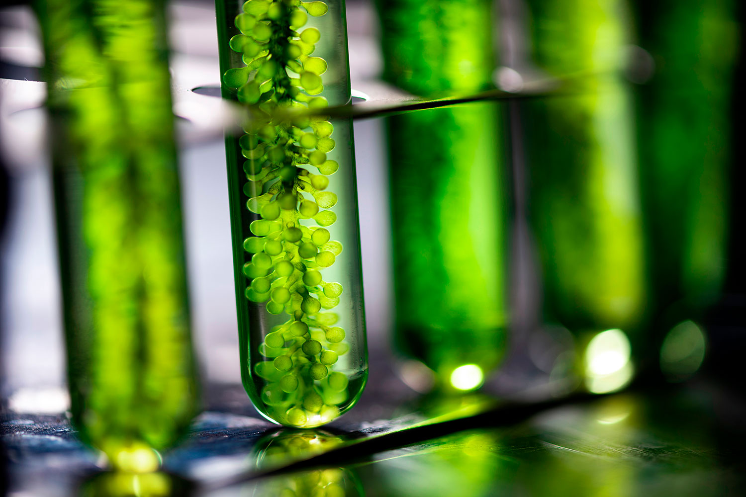 Natural Products
