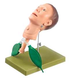 Übungsphantom Tracheotomie