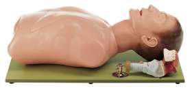 Übungsphantom Intubation