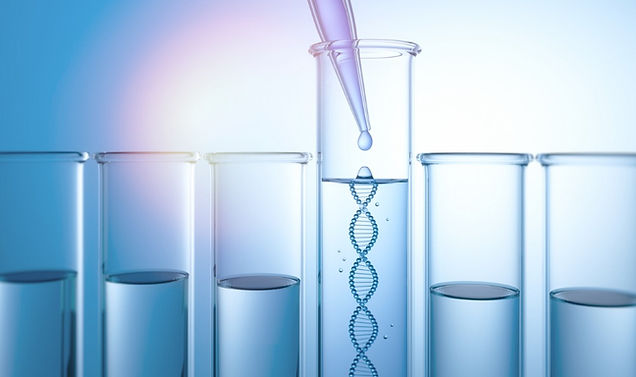 Autoimmundiagnostik