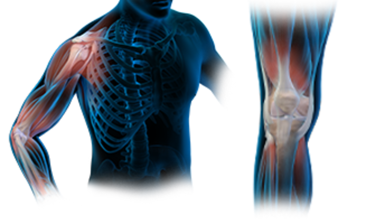 Sports Medicine