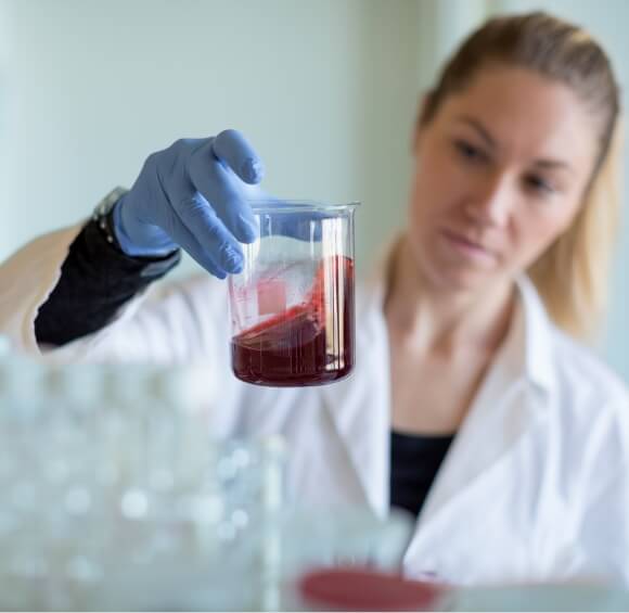 Wein- und Perlweinabfüllung in Glasflaschen