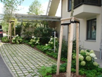 Parking space surfacing with eco-pavers