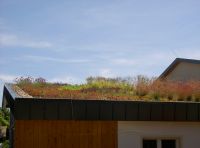 Extensive roof greening, annex of the operating yard