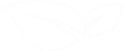 Effizienz