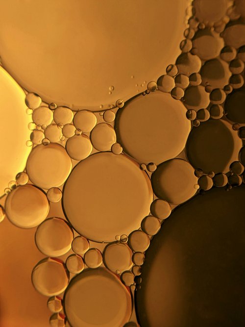 Raw material: oilseeds
