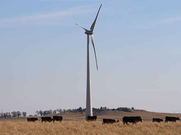 Windkraft