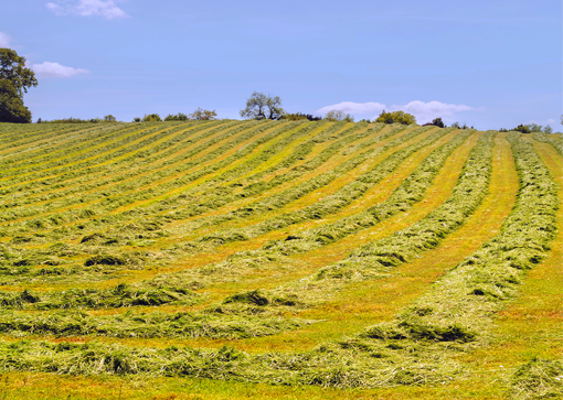 Heutrocknung mit AGRIFRIGOR