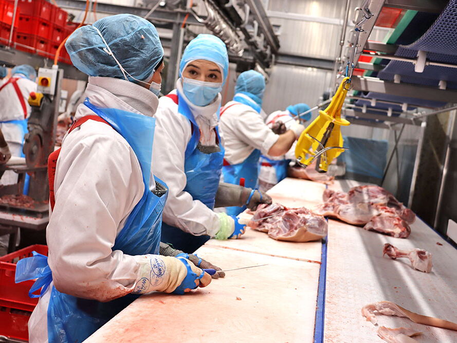 Zerlegebetrieb – frische Schweinehälften aus der Region