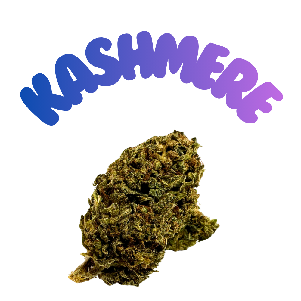 H2 4-pack pre roll Kaschmere Black 30 %