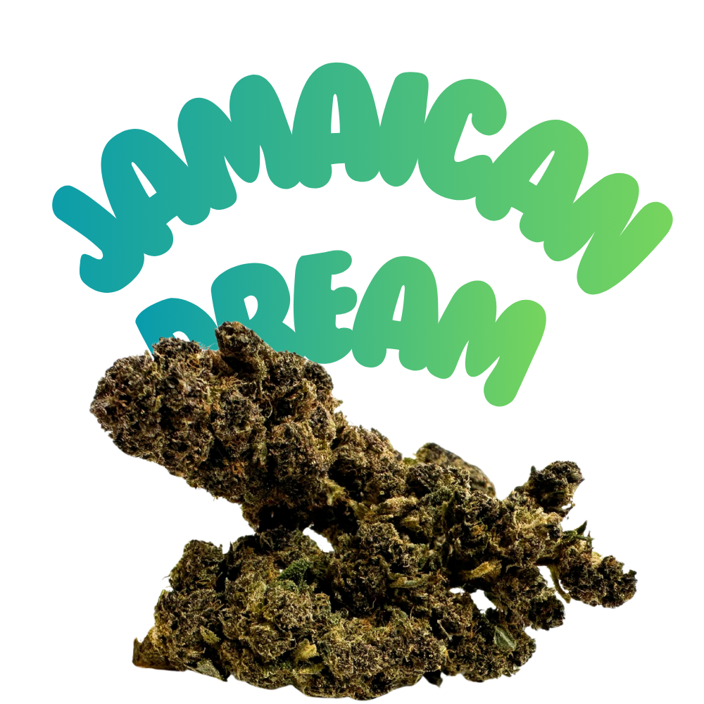 H2 4-pack pre roll Jamaican Dream 22 %