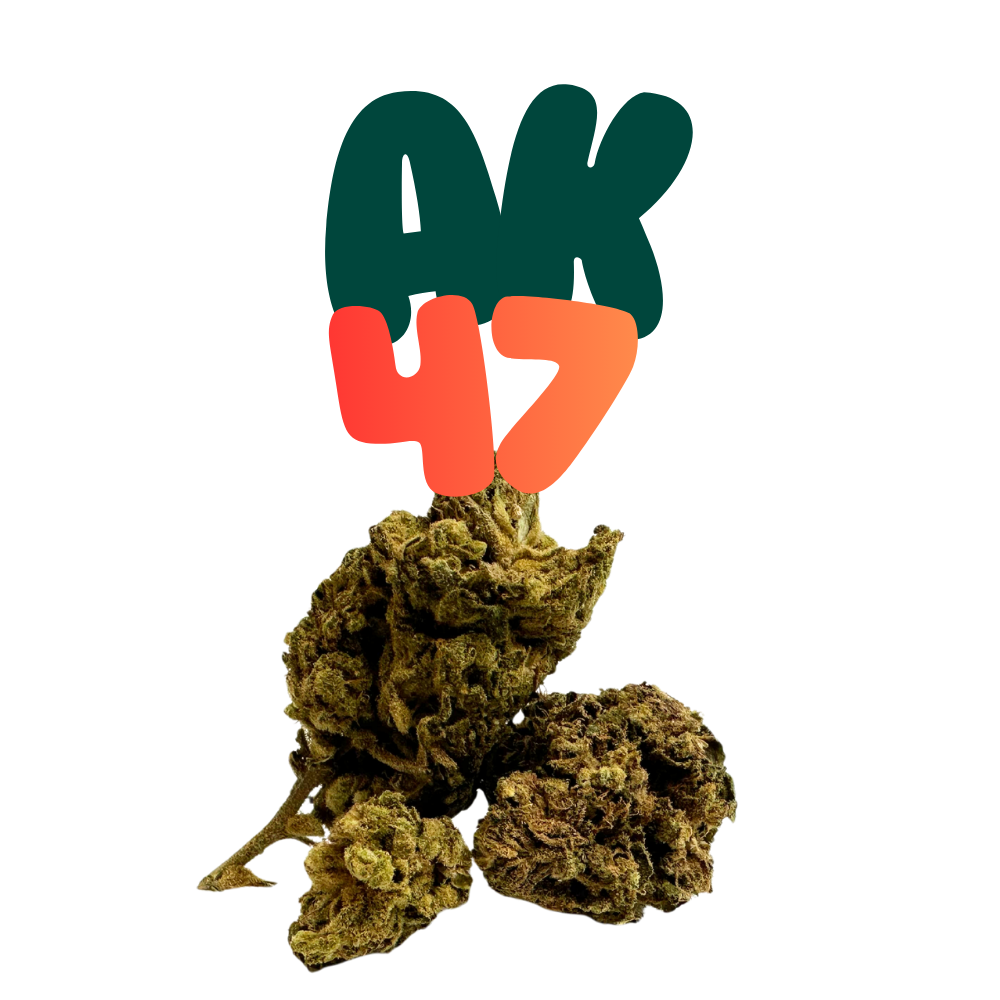 H2 4-pack pre roll AK-47 24 %