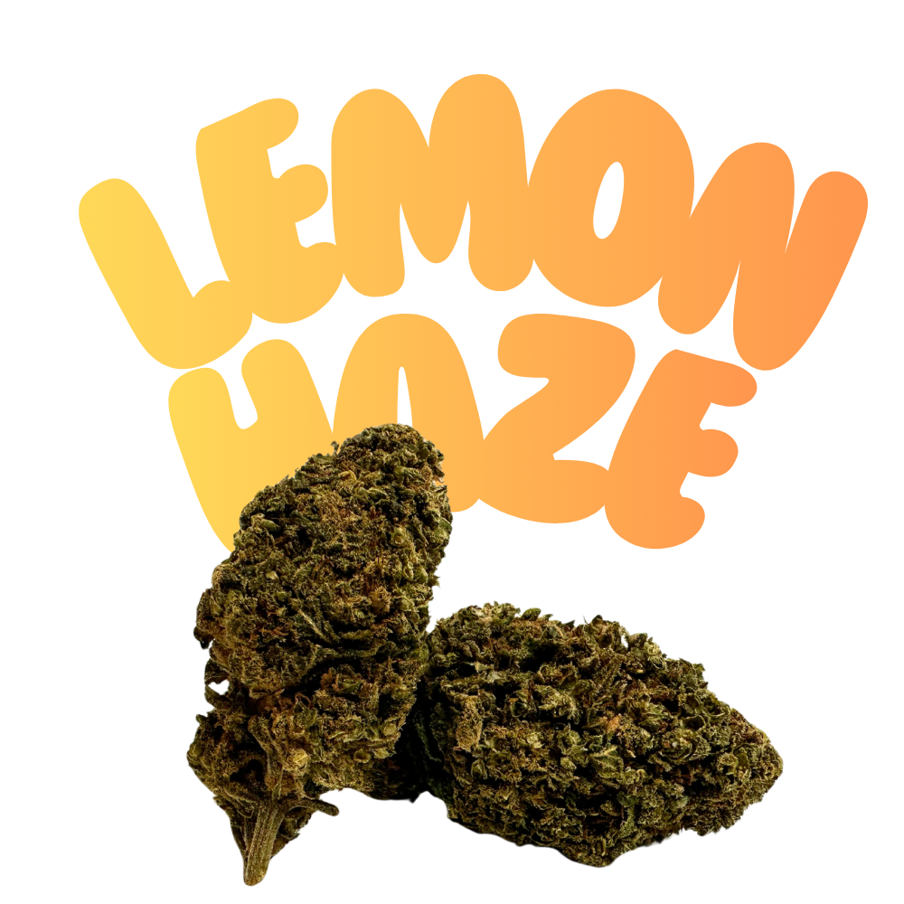 H2 4-pack pre roll Super Lemon Haze 20 %