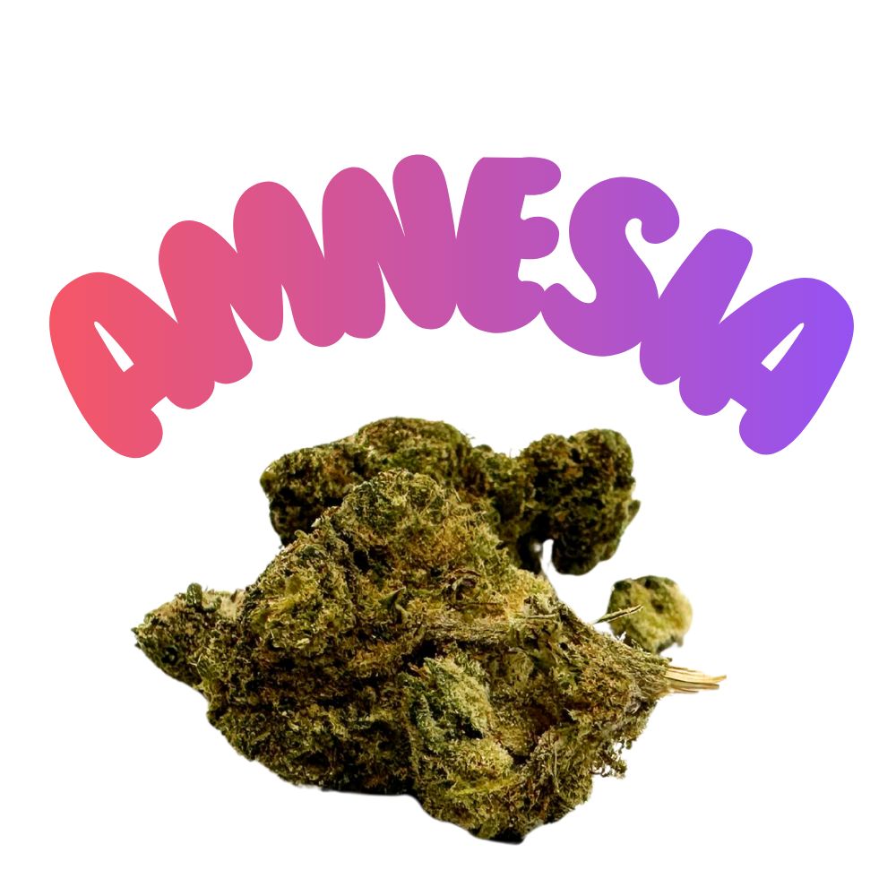 H2 4-pack pre roll Amnesia Haze 20 %