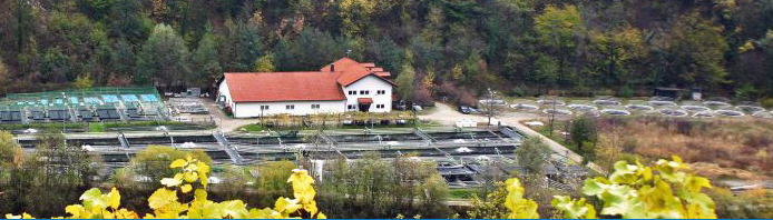 Aquakultur- und Teichtechnik