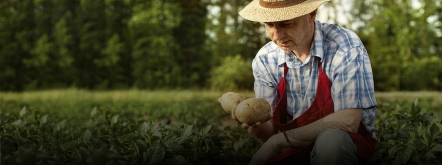 Agro Green – Natural-Based Agro Chemicals