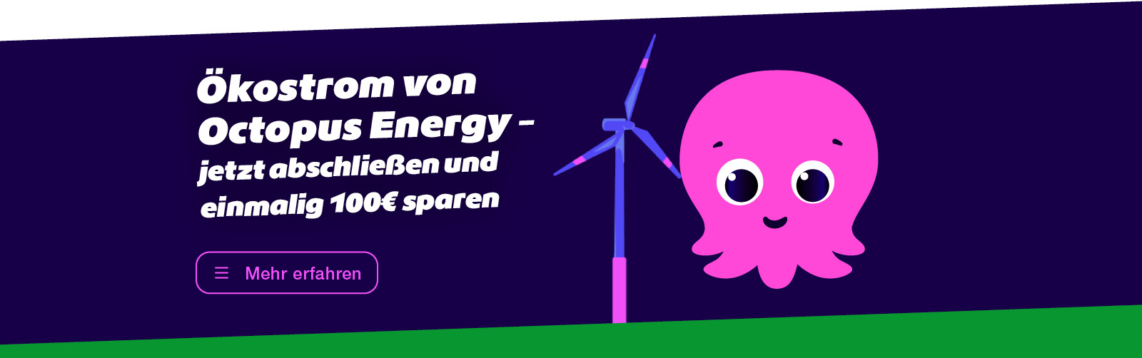 Kooperation mit Octopus Energy