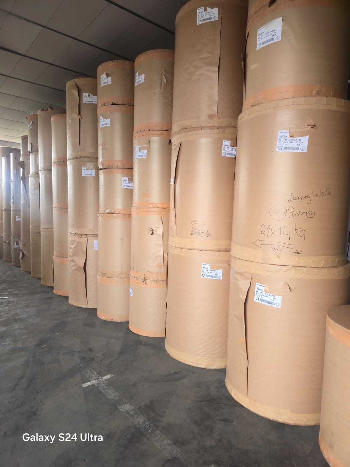Stock-lot warehouse with paper reels