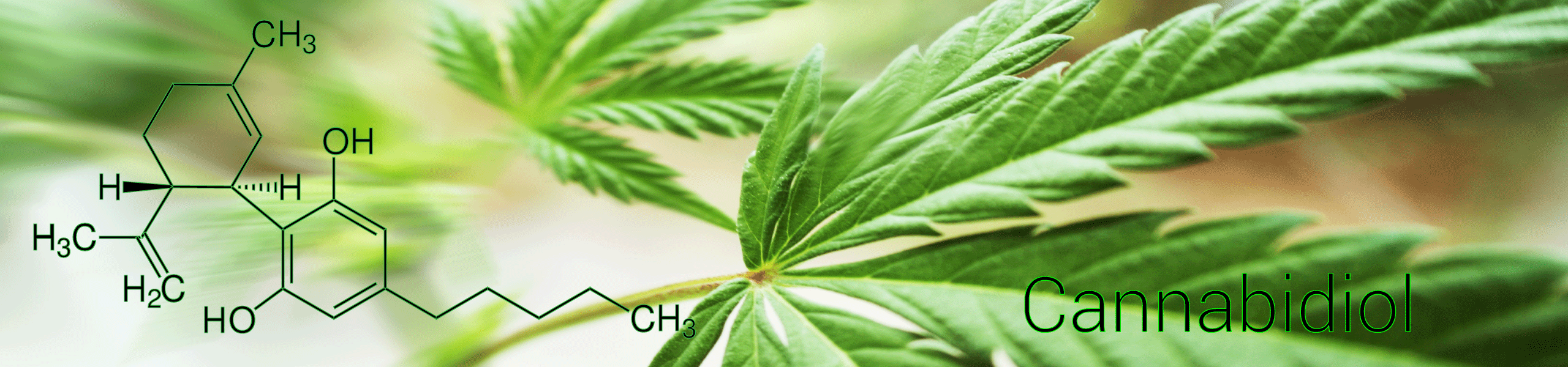 CBD-Produktlinie