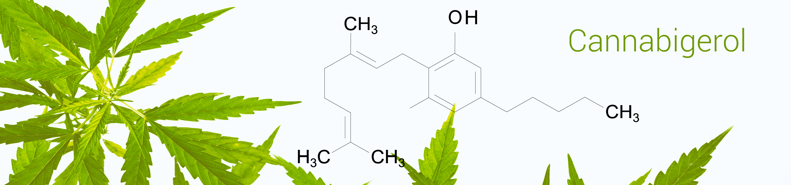 Cannabigerol (CBG) Substanz