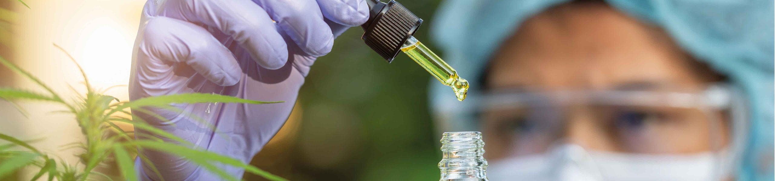 Anwendung medizinischer Cannabinoide in der Therapie