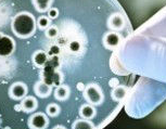 Hydrosense Legionellenschnelltest
