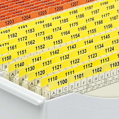 Orga-Box mit numerischer Ablage