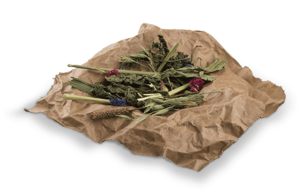 Botanicals MAXI MIX Mischung