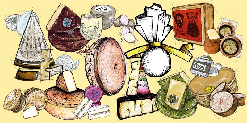 Käse-Sortiment