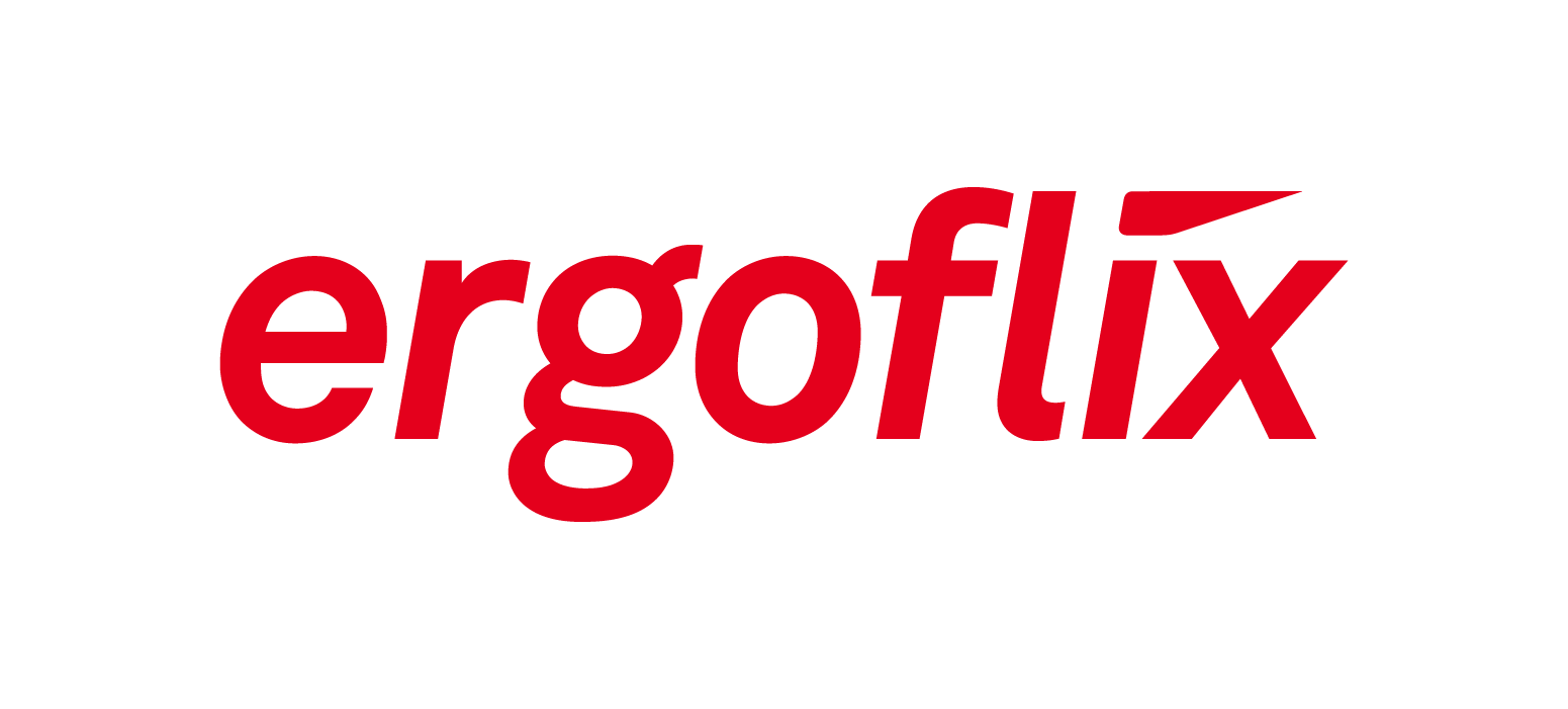 ergoflix Logo