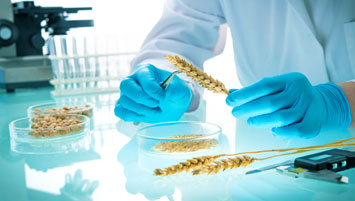 Agricultural Inspection