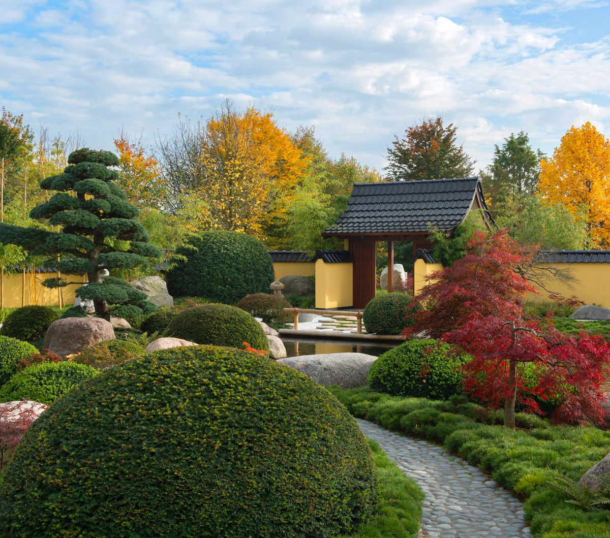 Mustergarten, Teichanlage