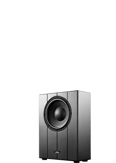 THE12 Subwoofer PRO Passive Sealed Shallow