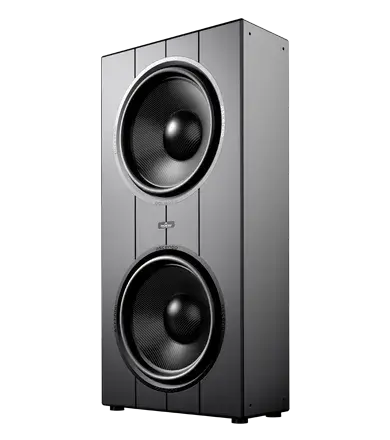 THE19-2 Subwoofer PRO Passive Sealed Shallow