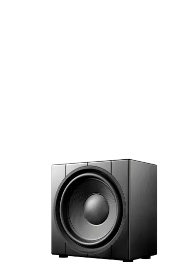 THE16 Subwoofer PRO Passive Sealed Shallow