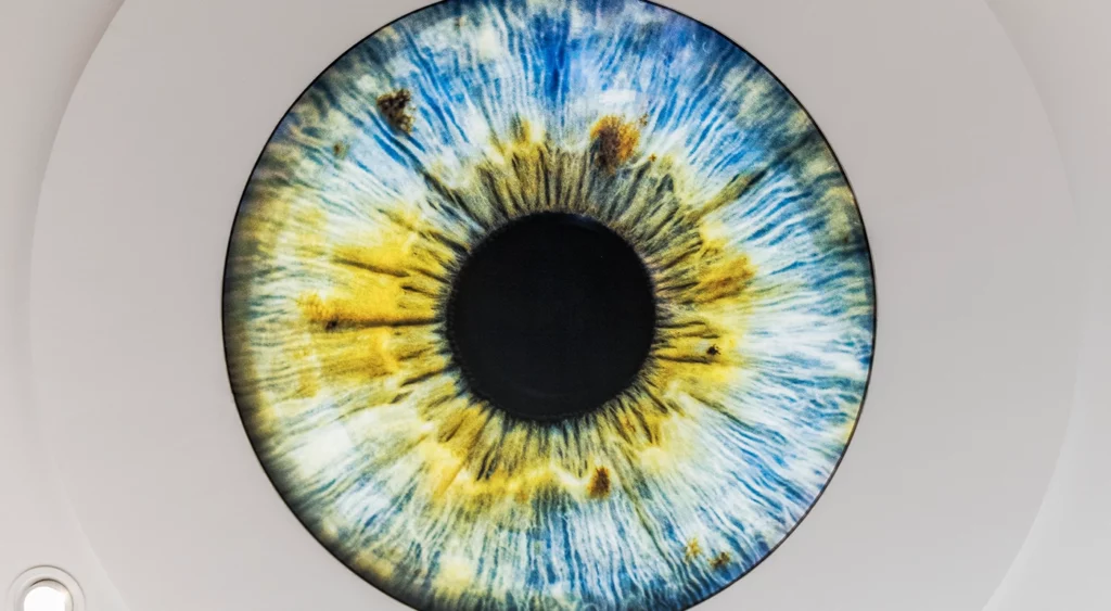 Sonderleuchte Iris