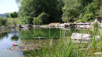 Teichabdichtung / Schwimmteich / Biotop