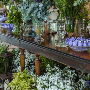 Blumen & Pflanzen